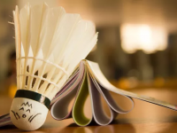 勒沃库森1-2科隆联赛两轮不胜，塞尔克双响，阿德利推射建功