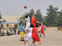 赛事前瞻：太阳vs猛龙预测分析(2026年03月14日)